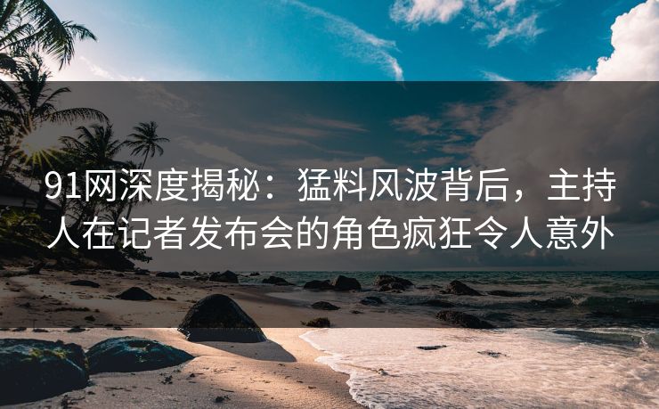 91网深度揭秘：猛料风波背后，主持人在记者发布会的角色疯狂令人意外