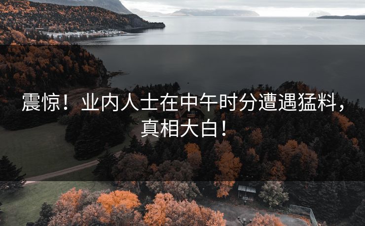 震惊！业内人士在中午时分遭遇猛料，真相大白！