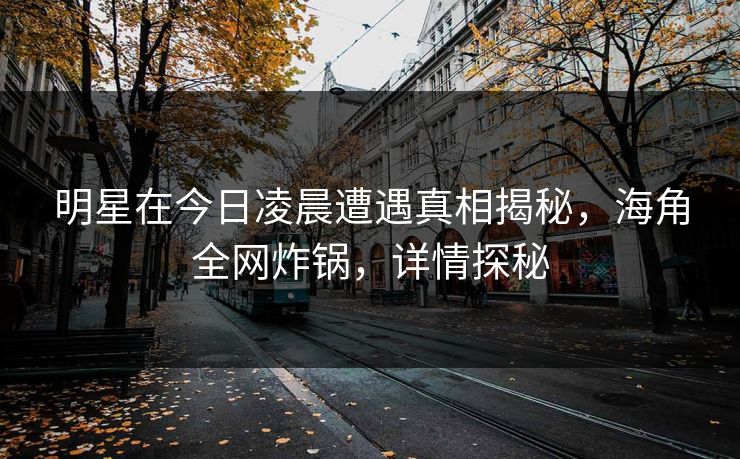 明星在今日凌晨遭遇真相揭秘，海角全网炸锅，详情探秘