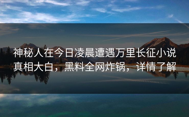 神秘人在今日凌晨遭遇万里长征小说真相大白，黑料全网炸锅，详情了解