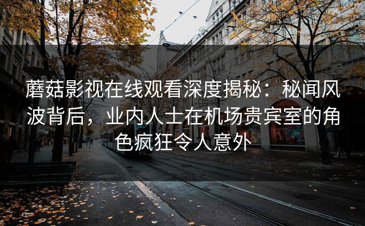 蘑菇影视在线观看深度揭秘：秘闻风波背后，业内人士在机场贵宾室的角色疯狂令人意外